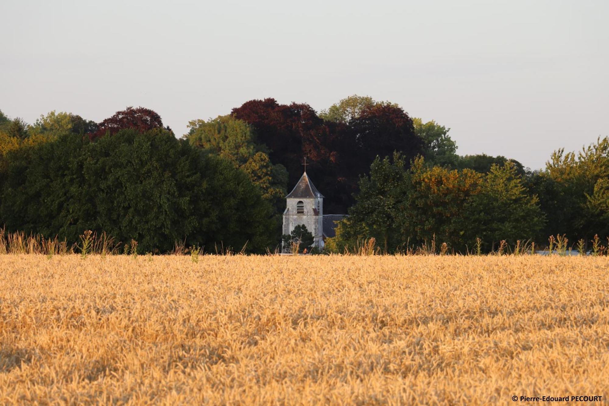 Villa La Grange Aux Tommies - Pays Du Coquelicot Bus-les-Artois Esterno foto