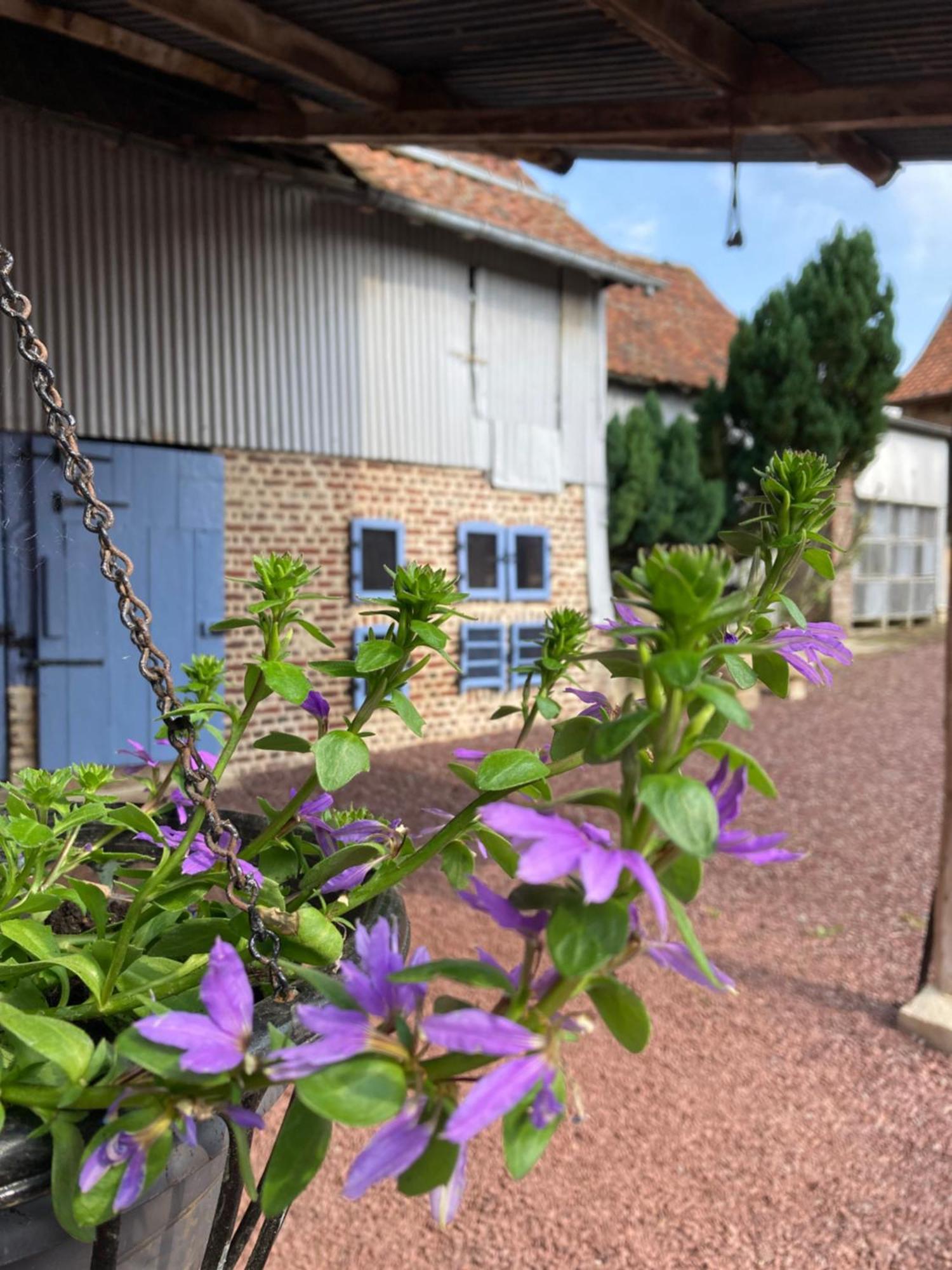 Villa La Grange Aux Tommies - Pays Du Coquelicot Bus-les-Artois Esterno foto