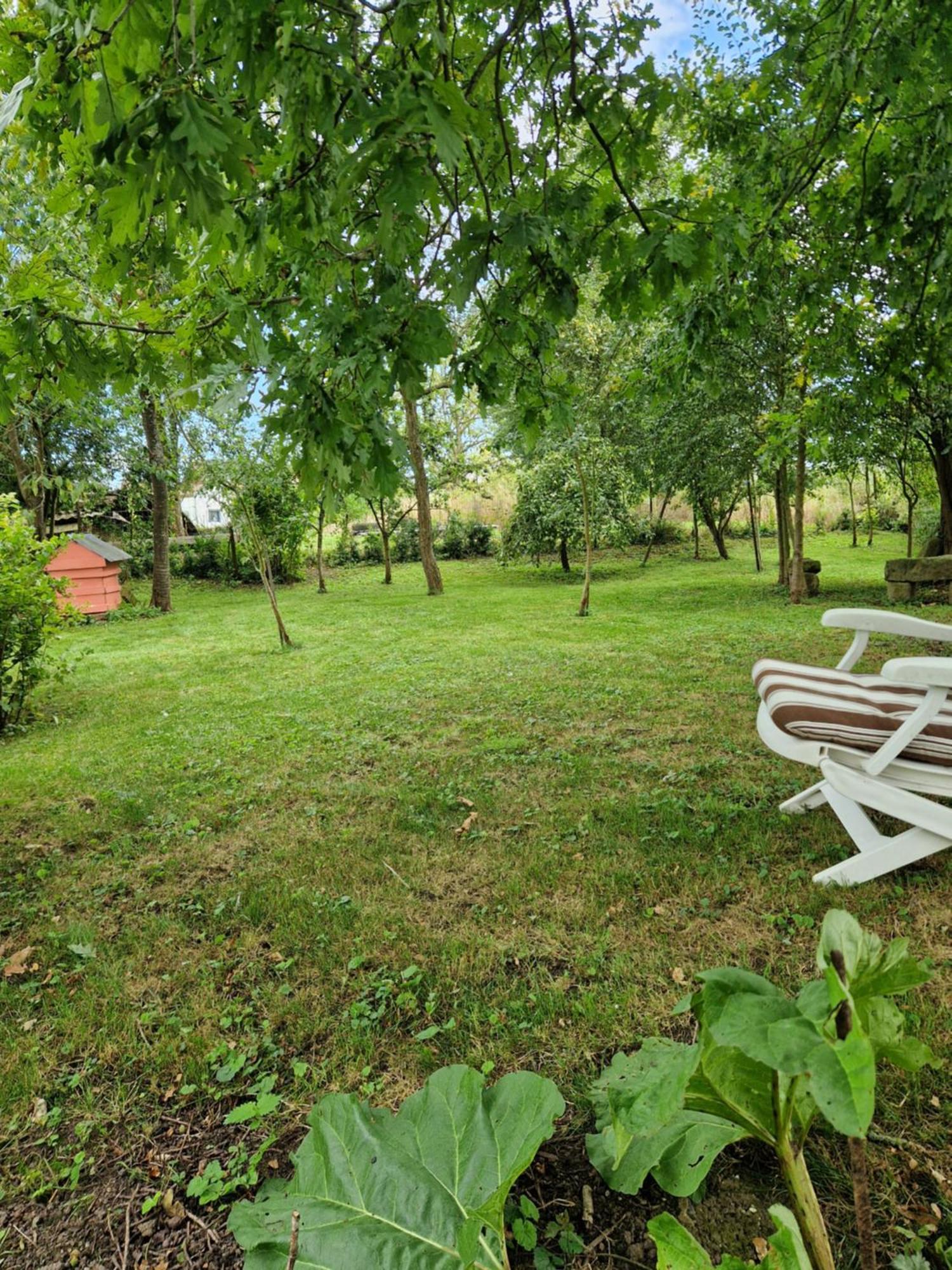 Villa La Grange Aux Tommies - Pays Du Coquelicot Bus-les-Artois Esterno foto